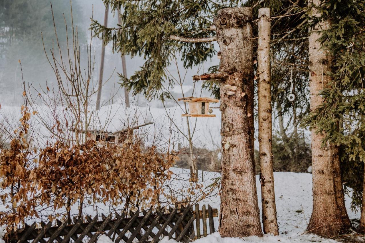Вилла Knusperhauschen Sonnegg Флахау Экстерьер фото